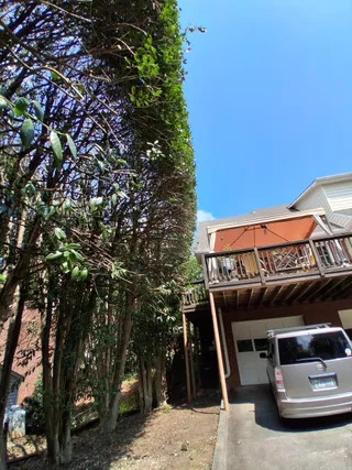 Canopy trimming around a deck and driveway